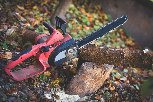 Best Seasonal Cleanup (Spring/Fall)  in St James, MN